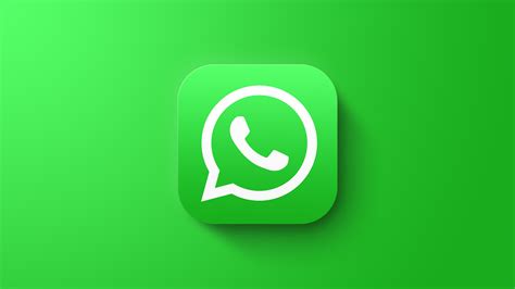 dfwfg dt,|whatsapp.